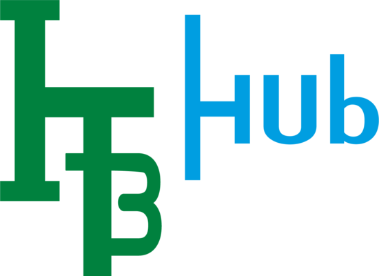 it biznes hub